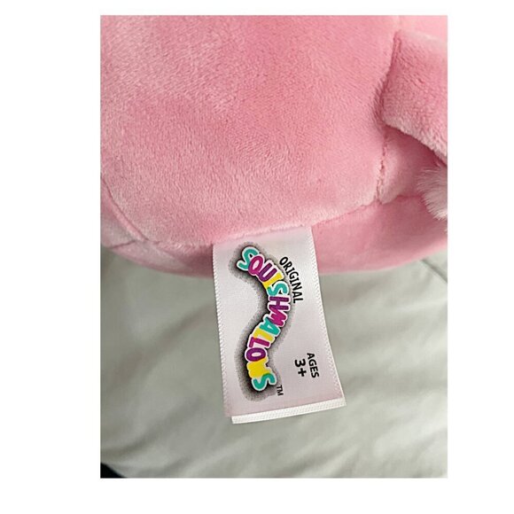 Squishmallows 8 inch Chloe Poodle with Green Apple Back To School Squad EUC - Picture 3 of 5